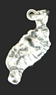 Lanzarote en plata